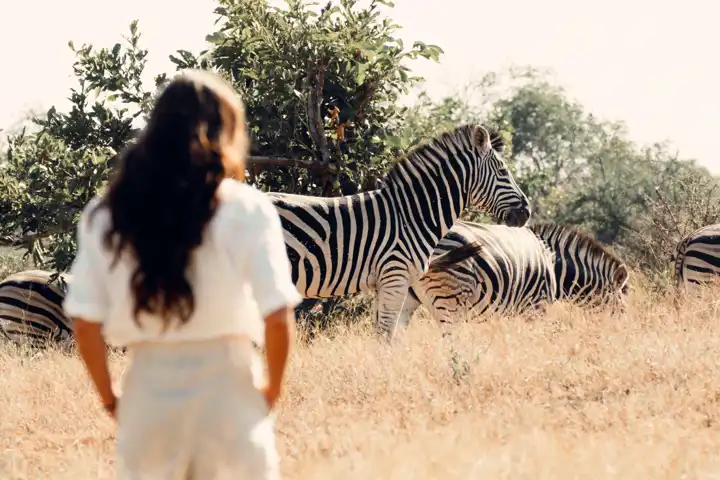 Favorite Africa Trips From The Ker Downey Travel Experts Luxury Travel HERO Royal Malawane