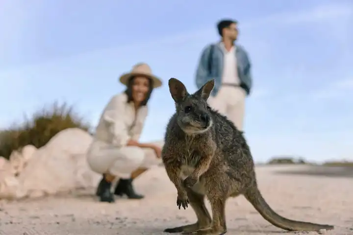 Kangaroo Island Touring Company Credit South Australian Tourism Commission Edit