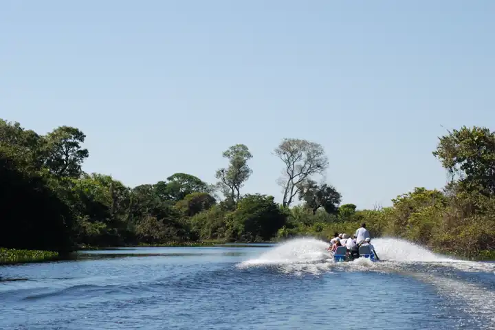 Latin America Where To Go In 2024 Ker & Downey Pantanal