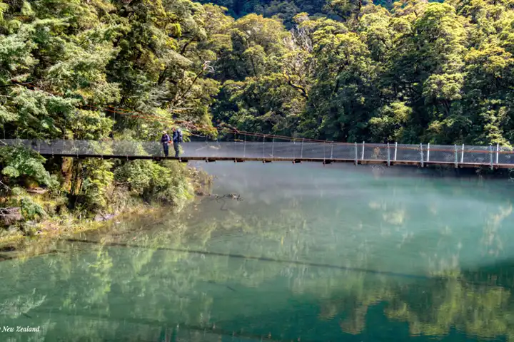 Unique Travel Ideas For Your Next Trip Luxury Womens Travel New Zealand
