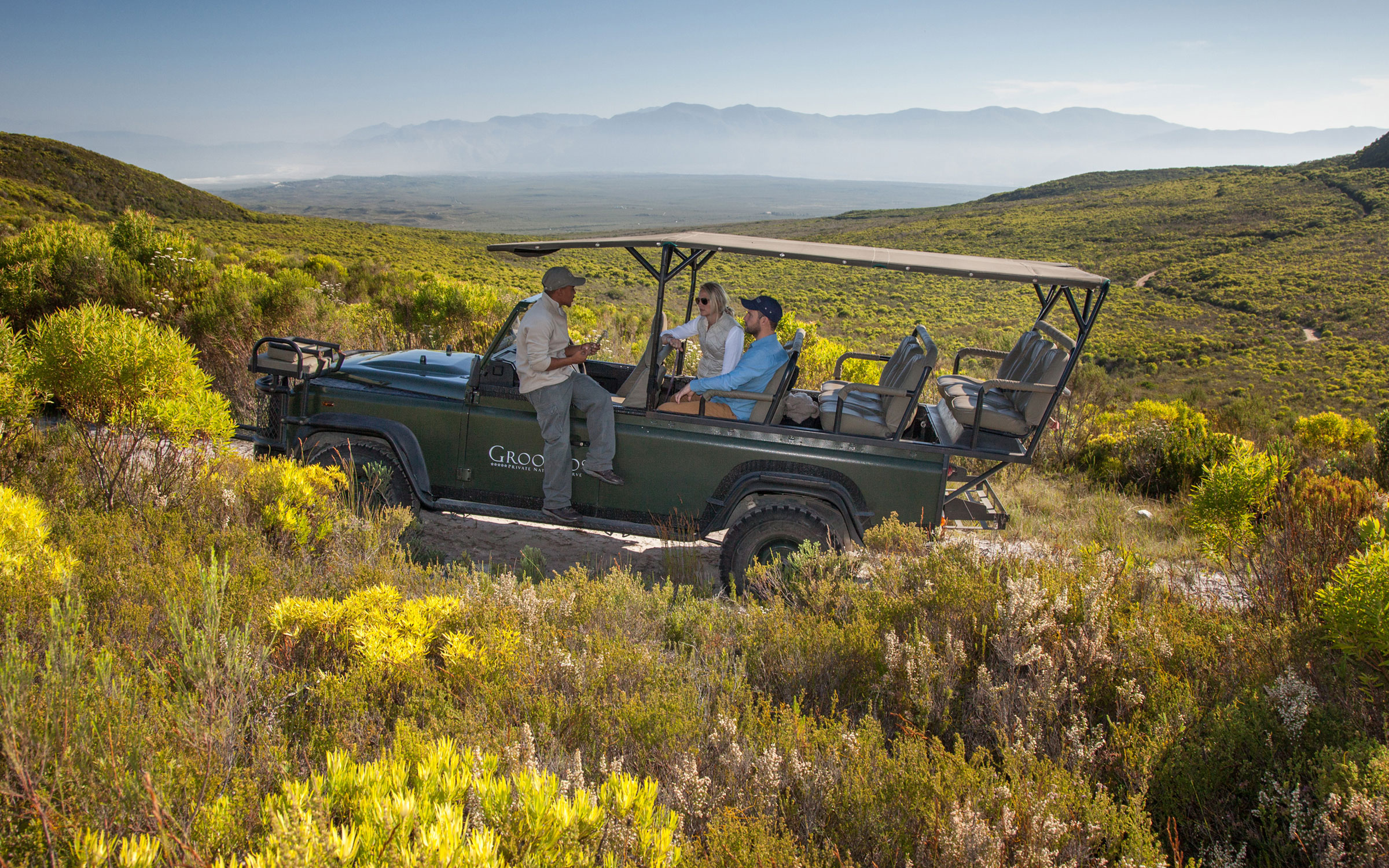 African Safari Beyond the Bush: Exploring South Africa's Diverse Landscapes Near Cape Town