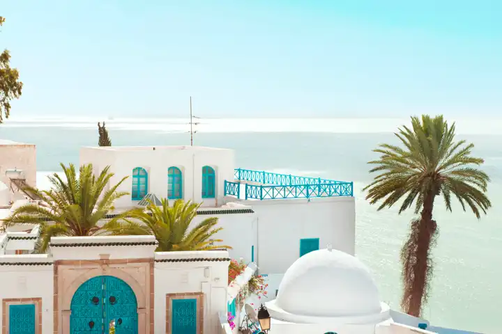 Website Tunisia Hero Image